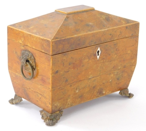 An early 19thC burr elm sarcophagus shaped tea caddy, with mounts and part fitted interior, 17cm high, 19cm wide, 12cm deep. (AF)