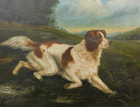 19thC British School. Sporting dogs, oil on board - pair, 29cm x 39cm.