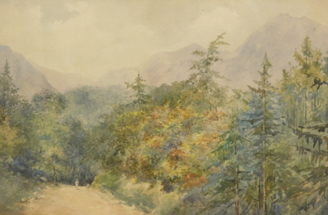 M A B (19th/20thC). A walk in the hills, watercolour, initialled, 30cm x 45.5cm