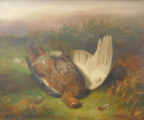 After Abel Hold (1815-1896). Dead grouse, oil on canvas, signed, 42cm x 50cm. After the original in the Bowes Museum. Label verso for T.B. & W Cockayne Limited, Sheffield.