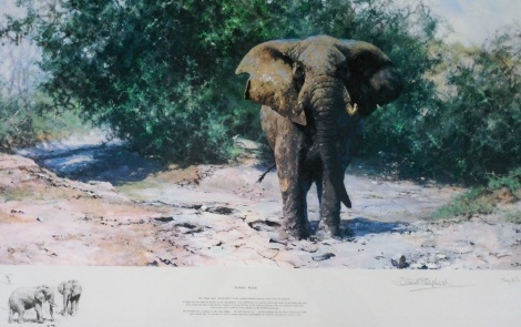 David Shepherd. Tembo Mzee, signed limited edition print, no. 749/850, 36cm x 80cm.