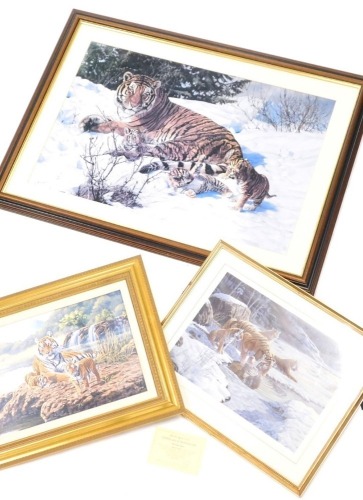 Stephen Gayford (b.1954). A Tiger and Her Cubs, artist signed print laid onto textured board, limited edition number 474 of 875, 29cm x 38cm, another Stephen Gayford artist signed print of tigers and a coloured print, After Banovich. (3)