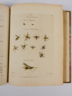 Barbut (James) LES GENRES DES INSECTES DE LINNE..., additional engraved title, 2 folding table and 20 hand-coloured engraved plates, 1 folding, light spotting on title, modern half calf over patterned boards, morocco spine label, 4to, J. Dixwell, 1781 - 4