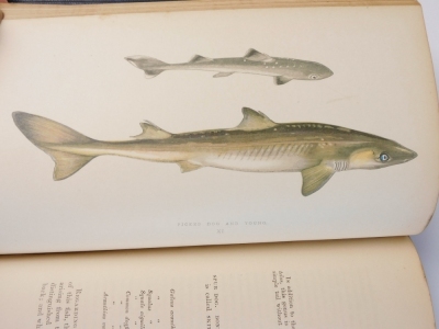 Couch (Jonathan) A HISTORY OF THE FISHES OF THE BRITISH ISLANDS 4 vol. (vol. 1-3 FIRST EDITION, vol. 4 second edition), 252 wood-engraved coloured plates, contemporary blue crushed morocco, tooled in blind, g.e., spines uniformly sunned, [Westwood & Satch - 3