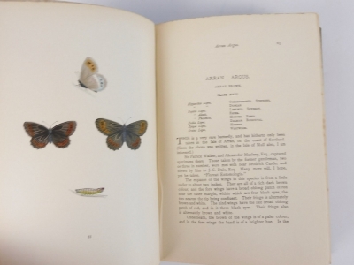 Morris (F.O., Rev.) A HISTORY OF BRITISH BUTTERFLIES half-titles, eighth edition, 79 hand-coloured plates, publisher's pictorial cloth, 4to, 1895 - 3