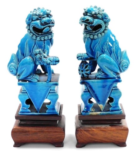 A pair of Chinese turquoise pottery glazed figures of Buddhistic lions, on square bases with hardwood stands, 28cm high overall.