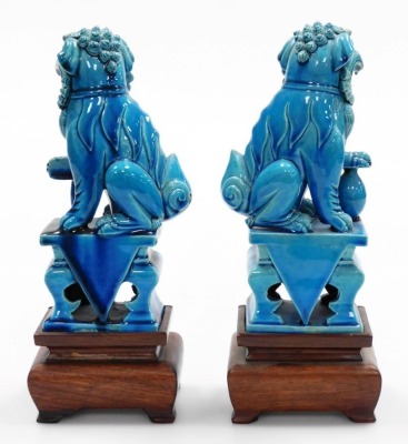 A pair of Chinese turquoise pottery glazed figures of Buddhistic lions, on square bases with hardwood stands, 28cm high overall. - 3