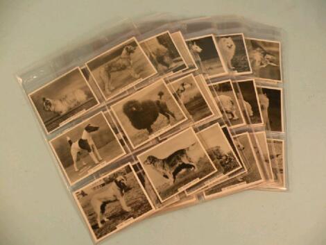 A set of John Sinclair Ltd of Newcastle Upon Tyne signed cigarette cards of champion dogs