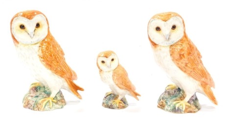 Three Beswick barn owls, comprising two large barn owls, 18cm high, and a small barn owl, 11cm high. (3)