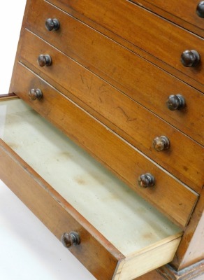 A late Victorian mahogany collector's chest, the rectangular top with a moulded edge above ten drawers, each with turned wood handles, on a plinth base, lacking one handle, 71cm x 49cm. - 2