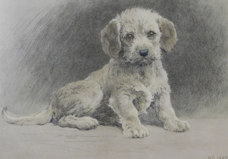 Herbert T Dicksee (20thC). Dandie Dinmont Want Terrier, book plate engraving, 25cm x 33cm.