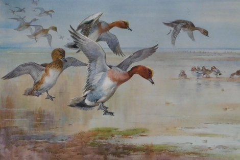 After Archibald Thorburn (1869-1935). Ducks in flight, artist signed print, published by WF Embleton, London 1927, 31cm x 42cm.