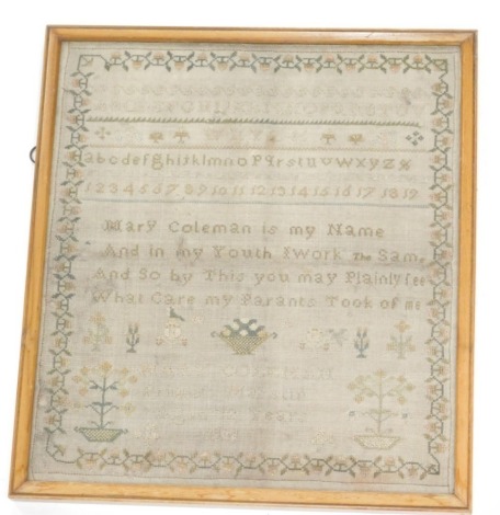 A George III pictorial motto alphabetic and numeric sampler, by Mary Coleman 1802, 31cm x 28cm, framed and glazed.