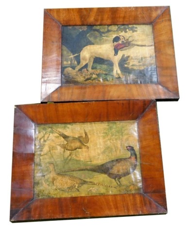 Two hunting related prints, a dog with pheasant in mouth, and pheasants in the wild, each 27cm x 36cm, in 19thC mahogany frames.