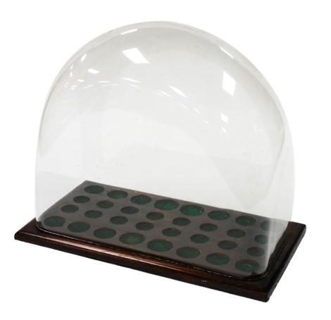 A 20thC glass dome, on a rectangular oak base, with various circular fitted roundels, 35cm high, 43cm wide, 23cm deep.