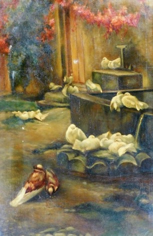 Late 19th/early 20thC School. Doves and other birds by water fountain and wooden door, oil on canvas, indistinctly signed, 71cm x 47cm. (AF)