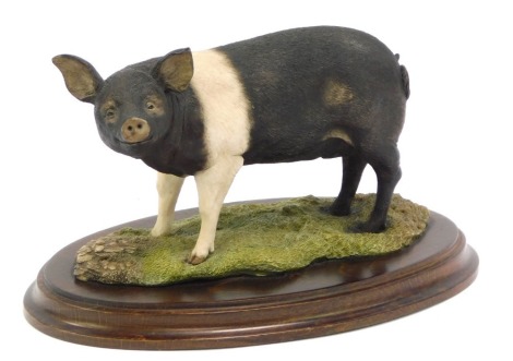 A Country Artists figure group, Pigs Standing CA236, on wooden plinth base, label beneath, 13cm high.