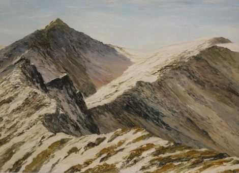H. C. Freeman (20thC). Snow capped mountains, oil on canvas, signed, 48cm x 72cm.