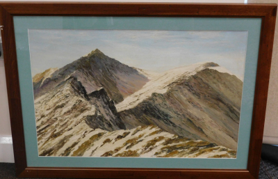 H. C. Freeman (20thC). Snow capped mountains, oil on canvas, signed, 48cm x 72cm. - 2