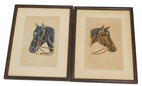 E. W. Meeg (20thC). Horse's head, watercolour, signed, and another , a pair. (2)