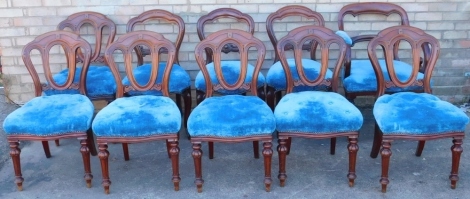 A Harlequin set of ten Victorian mahogany balloon back chairs, each with a blue velvet padded seat, on turned legs, one with arms.