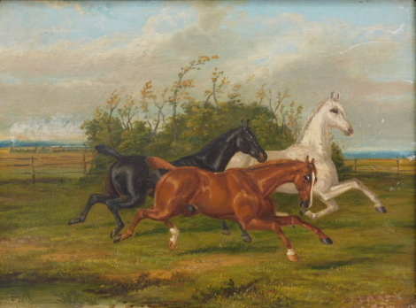 19thC English School. Horses galloping in a paddock, indistinctly signed, oil on canvas, 30cm x 39cm.