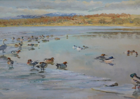 Donald Watson (1918-2005). Ducks and swans before trees and hills, watercolour, signed, Rowland Ward, 166 Piccadilly, London label verso,.47cm x 70cm.