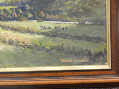 A. Temple-Cooper (20thC). Summer landscape, cattle before hills and trees, oil on board, signed, 41cm x 49cm. - 3