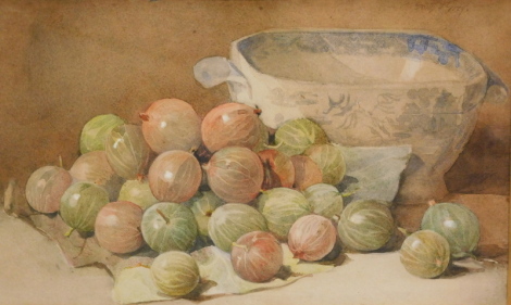 Sally Grey (20thC). Still life, tureen and gooseberries, watercolour, signed, 20cm x 36cm.