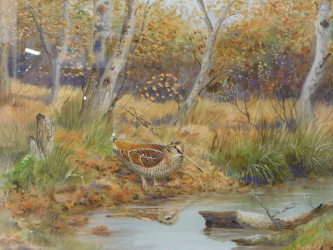 Richard Robjent (b.1937). Woodcock in an autumnal landscape, watercolour, signed, Christie's label and Richard Robjent label verso, 39cm x 51cm.