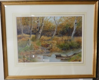 Richard Robjent (b.1937). Woodcock in an autumnal landscape, watercolour, signed, Christie's label and Richard Robjent label verso, 39cm x 51cm. - 4