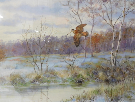 Richard Robjent (b.1937). Woodcock In Flight, watercolour, signed, Christie's label verso, 52cm x 52cm.