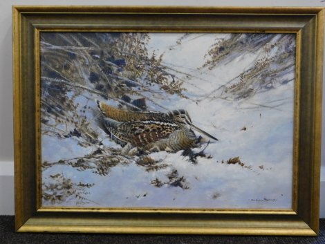 Colin Burns (b.1944). Woodcock In The Snow, oil on canvas, signed, Christie's label verso, 37cm by 49cm.