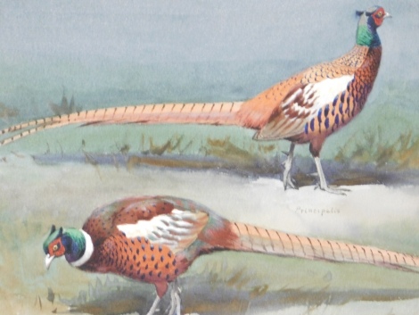 John Cyril Harrison (1898-1985). Ex-Pheasants of the world, Principals and Monoalicus, watercolour, signed, Christie's label 12th June 2003 verso, further Christie's barcode, chalk marks and pencil written mark £1,000 verso, 38cm x 51cm,