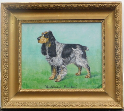 D. Johnson (20thC). Evening Glow, oil on board, signed and titled, 27cm x 35cm, four further dog portraits. (5) - 22