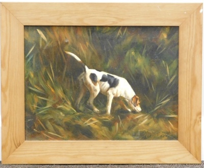 Sophia Dakin Montesanto (20thC). Hound in the rough, oil on canvas, signed, 30cm x 40cm. - 2