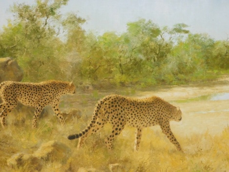 Paul Rose (20thC). Cheetahs in a clearing before waterhole, oil on board, signed and dated (19)80, 81cm x 101cm.