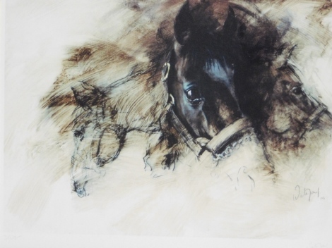 Petaruef (20thC). Horses head, print, signed, 38cm x 49cm.