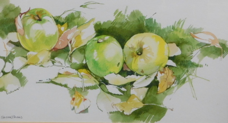 Susan Shaw (20thC). Still life apples, watercolour, signed, 20cm x 39cm.