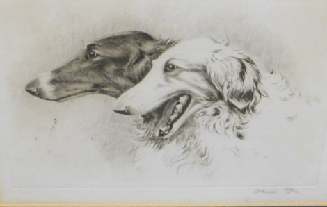 Arthur Wardle (1860-1949). Our Dogs Borzoi, ink on paper, signed and titled, 15cm x 21cm.