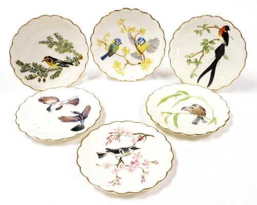 Six Royal Worcester porcelain 'The Birds Of Dorothy Doughty' dessert plates, limited edition, three boxed, comprising A Paradise Wydah, Blackburnian Warbler & Weston Hemlock, Blue-Grey Gnatcatchers, Blue-Winged Sivas and Bamboo, Blue Tits & Witch Hazel, a