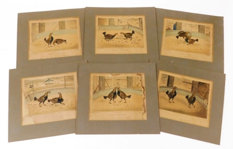 After C R Stock. 19thC cock fighting prints, plates 1-6, A Start, Getting to Work, Business, Fast Locked, One Down, and Victory, published by W.C. Lee, 15cm x 21cm. (6)