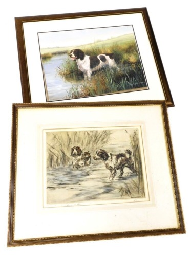 Henry Wilkinson. Two spaniels in river surrounded by reeds, limited edition signed print number 8/100, 25cm x 34cm, and after Caroline Manning, Larry: study of a spaniel, gouache on paper, signed and dated, 30cm x 41cm. (2)