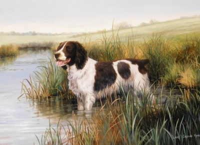 Henry Wilkinson. Two spaniels in river surrounded by reeds, limited edition signed print number 8/100, 25cm x 34cm, and after Caroline Manning, Larry: study of a spaniel, gouache on paper, signed and dated, 30cm x 41cm. (2) - 4