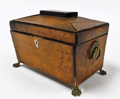 A Georgian burr yew tea caddy, of sarcophagus form, with brass lion's head and ring handles, opening to reveal a vacant interior, raised on brass lion's paw feet, 22cm wide. - 2