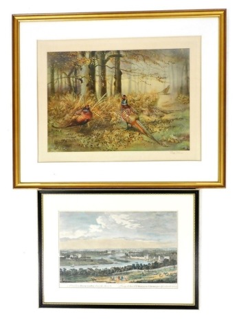 After F Vivares. A coloured engraving of a View from Richmond Hill Down the River, published according to Act of Parliament, 28cm x 43cm, together with a signed lithographic print of pheasants, after Philip Rickman, 43cm x 59cm. (2)