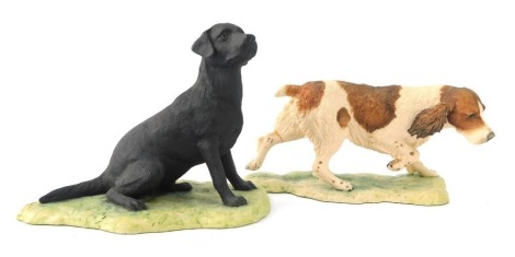 Two Border Fine Arts figures of dogs, comprising black Labrador, and Cocker Spaniel, 9cm and 8cm high respectively. (2)