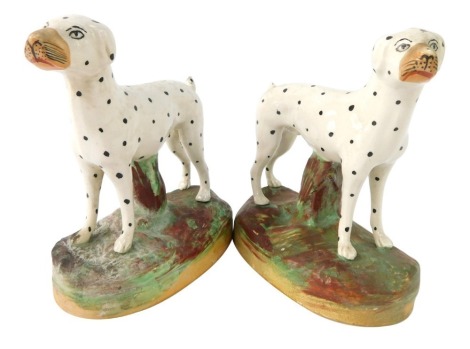 A pair of Staffordshire style Dalmatians, each on a mottled base, unmarked, 15cm high.