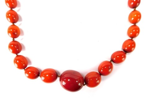 An orange amber beaded necklace, deep orange, with graduated links, the largest 4cm diameter, the smallest 1.5cm diameter, 179.7g all in.