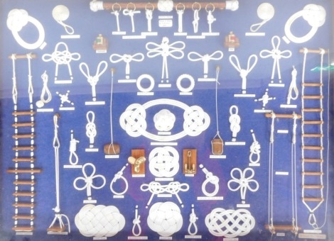 A ship's knot picture, showing various Naval and ship's knots, in a fitted display case, 72cm x 52cm.